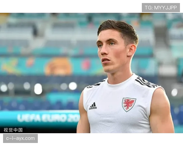 威尔士主帅佩奇全力备战国际赛事,球队表现稳健 威尔士主帅佩奇全力备战国际赛事,球队表现稳健