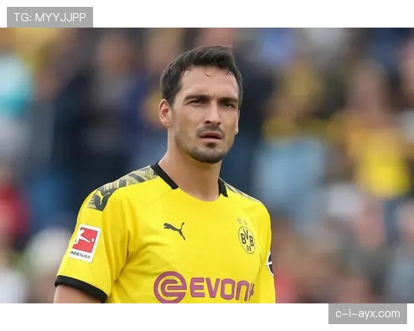 多特蒙德主场表现稳健，续写联赛辉煌篇章