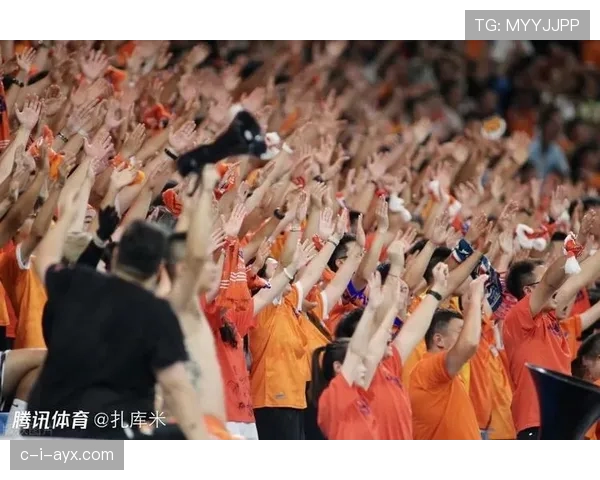 山东泰山上座率