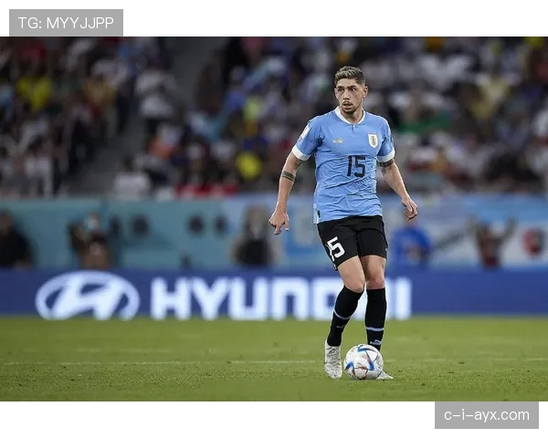 巴尔韦德世界最佳中场 巴尔韦德世界最佳中场